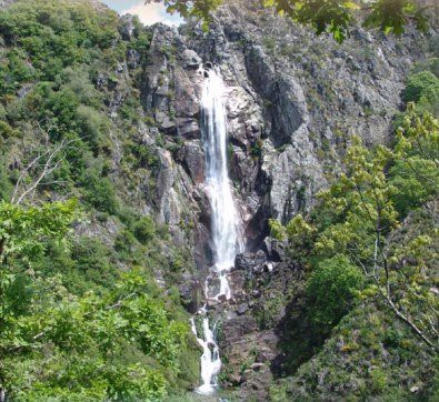 Misarela