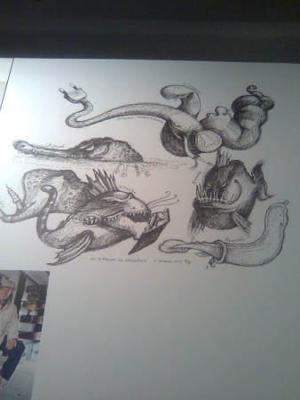 Expedição Amazónia - Exposição